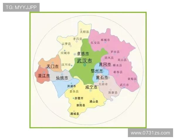 武汉网球队节奏表现分析与战术优化研究报告