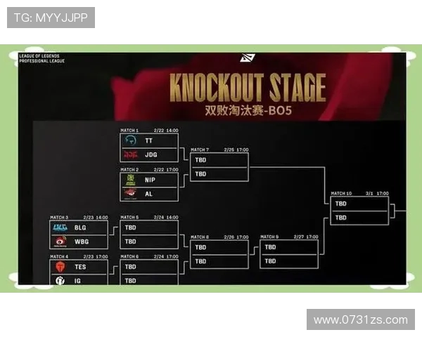 赛后复盘：TES与JDG对决中的关键策略与经验分享