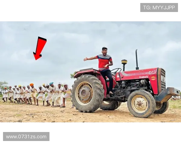 拖拉机与加拉法的较量：谁能在现代农业中胜出