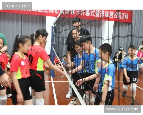 陈强专访揭秘排球成功秘诀与未来发展展望