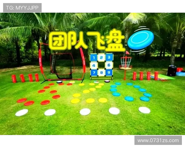 飞盘竞技的魅力揭秘成都飞盘队战术解析与训练心得分享 飞盘竞技的魅力揭秘成都飞盘队战术解析与训练心得分享