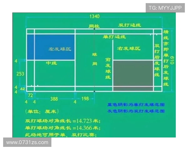 成都羽毛球队的节奏体系与战术运用探讨