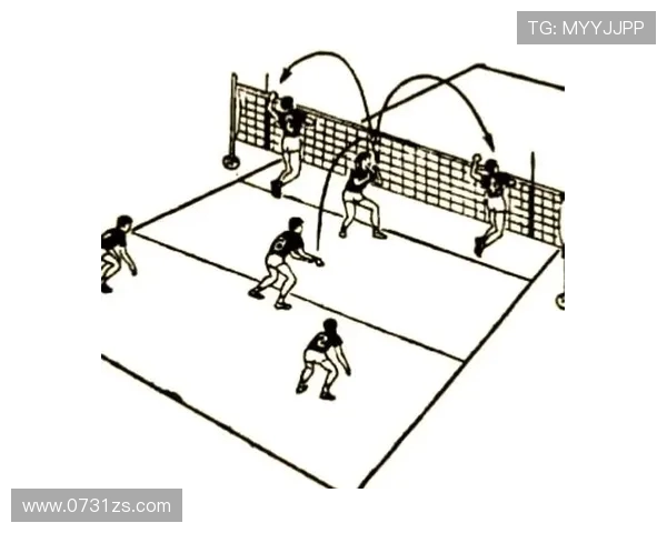 杭州排球队区域防守策略解析与战术应用探讨